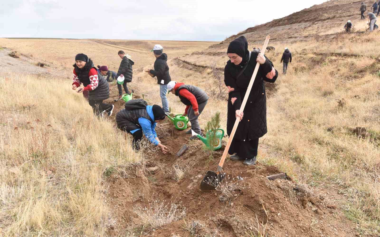 DATÜB Ahlat’ta ‘Hatıra Ormanı’ oluşturdu
