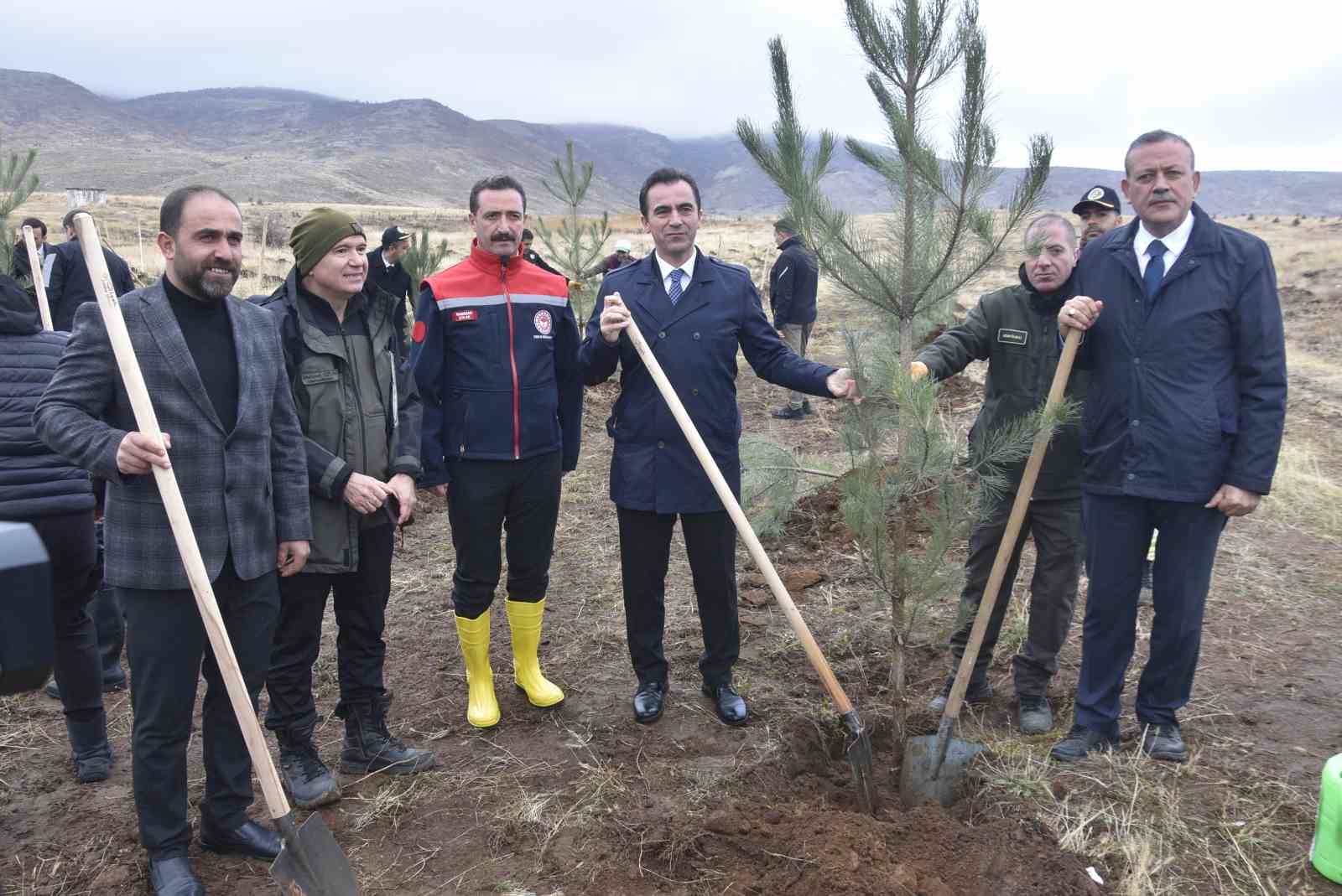 Bitlis’te bin adet fidan dikildi
