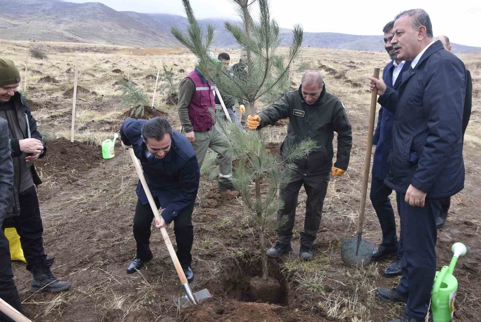 Bitlis’te bin adet fidan dikildi
