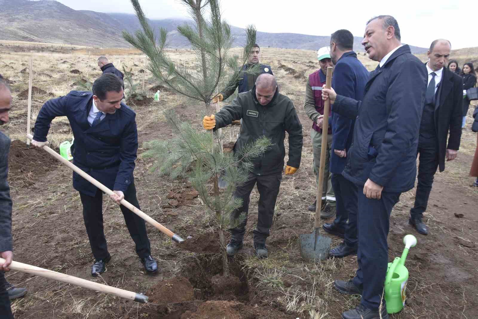 Bitlis’te bin adet fidan dikildi
