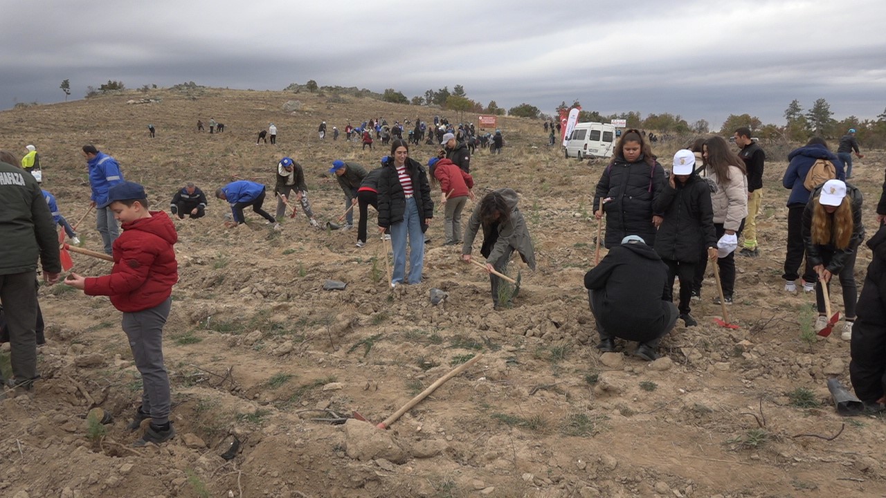 Kırklareli’nde 20 bin fidan toprakla buluştu
