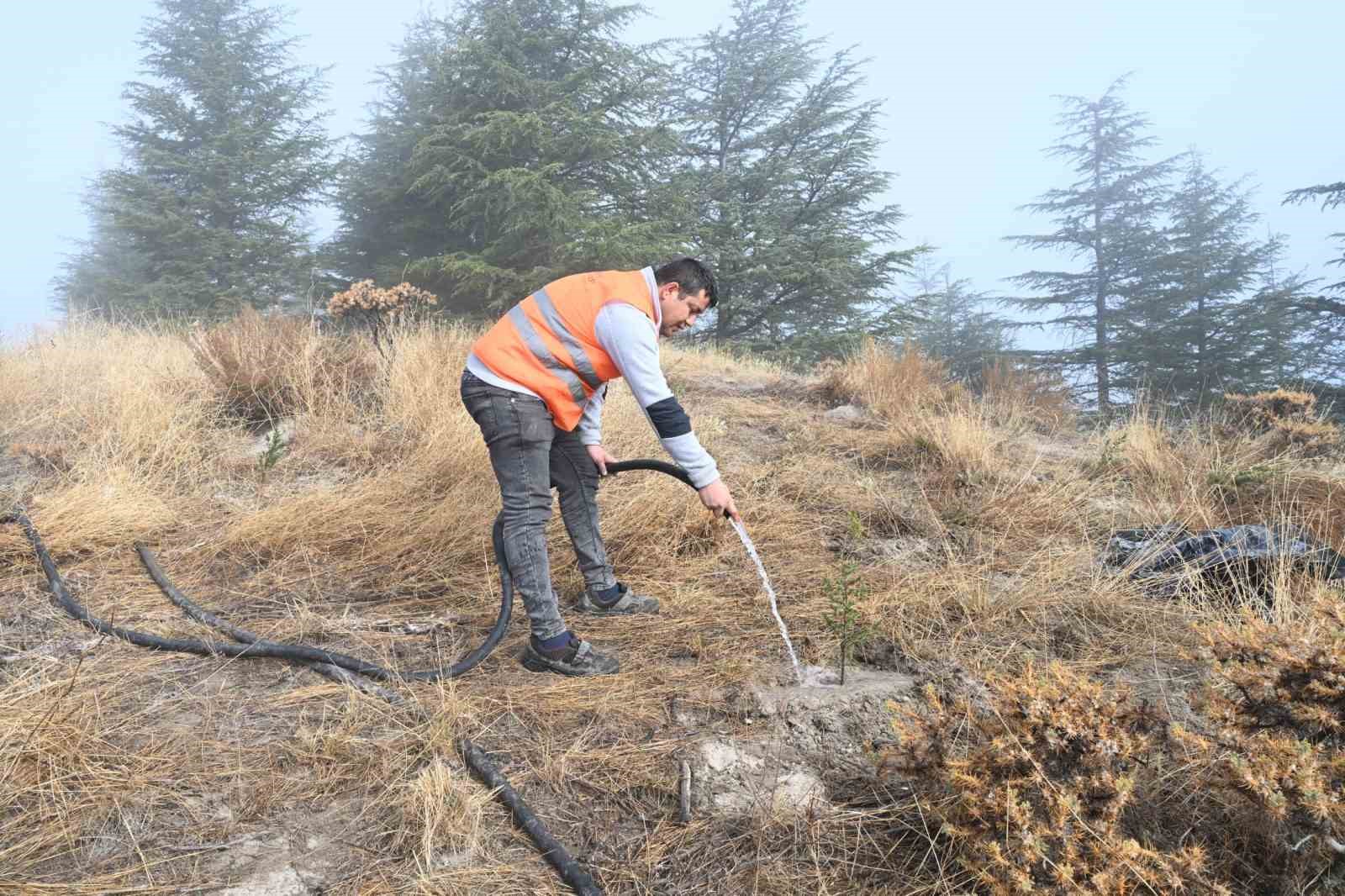 Isparta Belediyesi Gölcük Tabiat Parkı’nda fidanlar toprakla buluşturuldu
