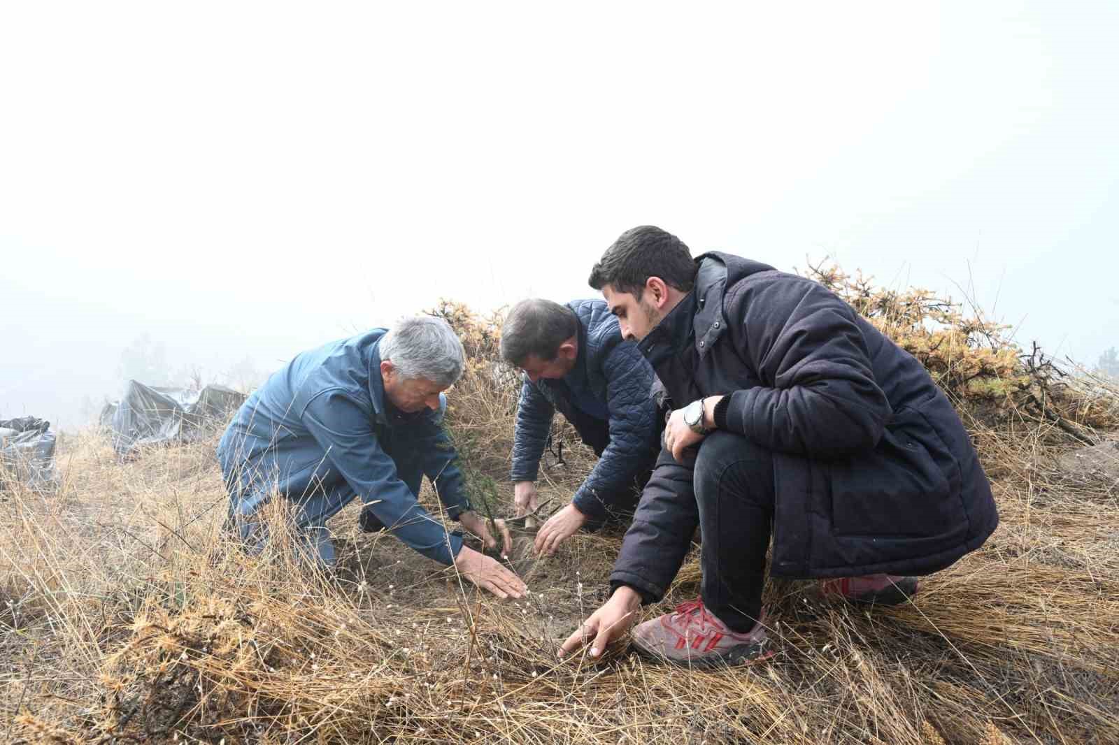 Isparta Belediyesi Gölcük Tabiat Parkı’nda fidanlar toprakla buluşturuldu
