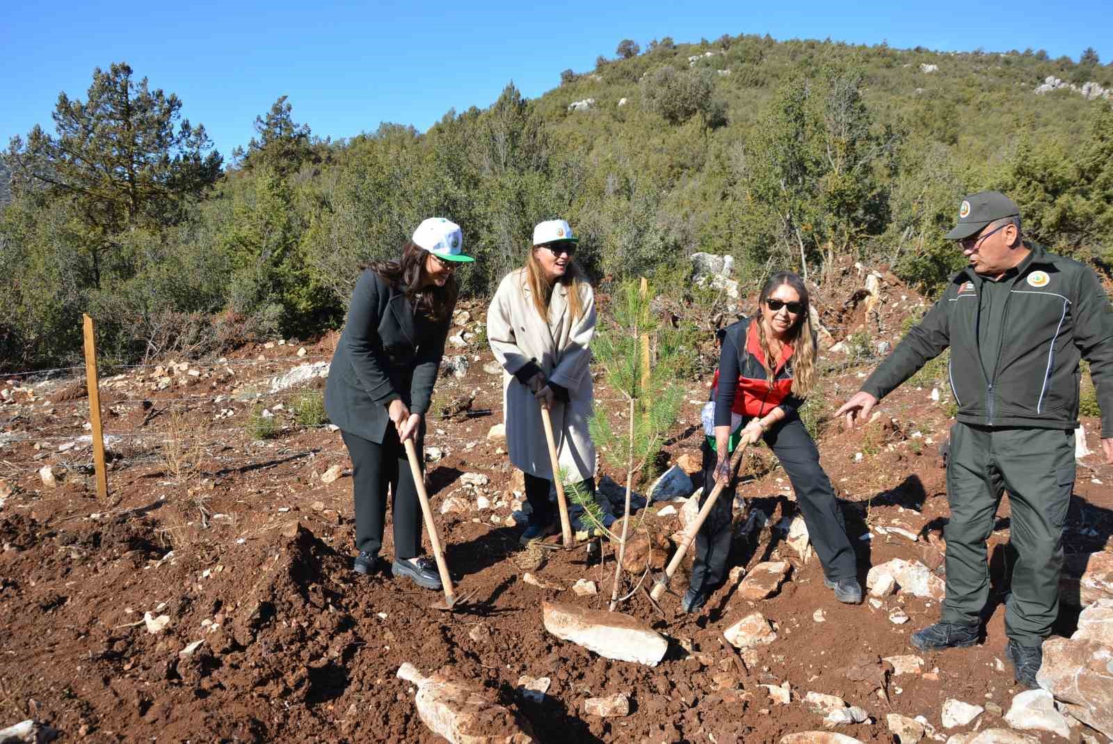 Korkuteli’nde 500 fidan toprakla buluştu
