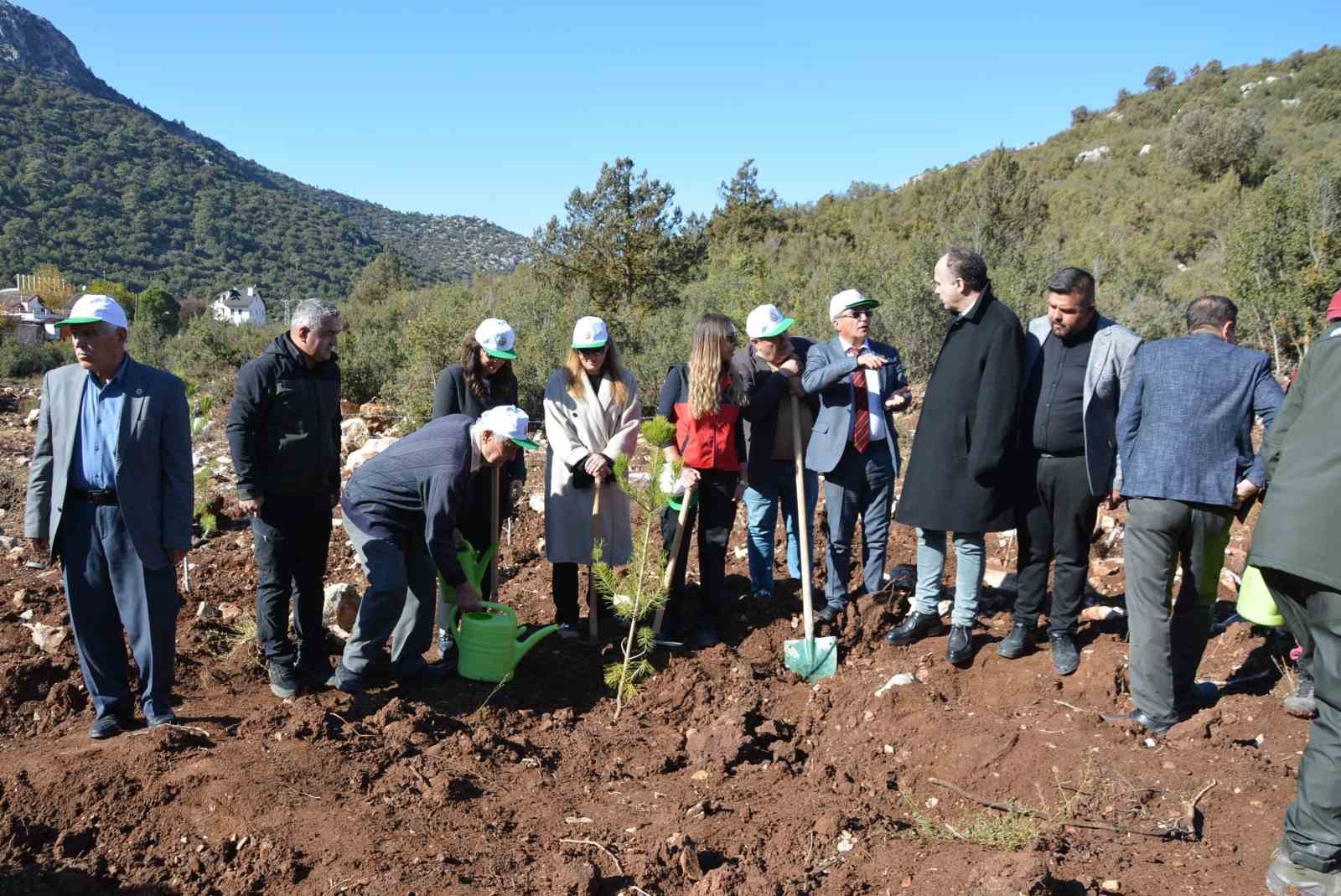 Korkuteli’nde 500 fidan toprakla buluştu
