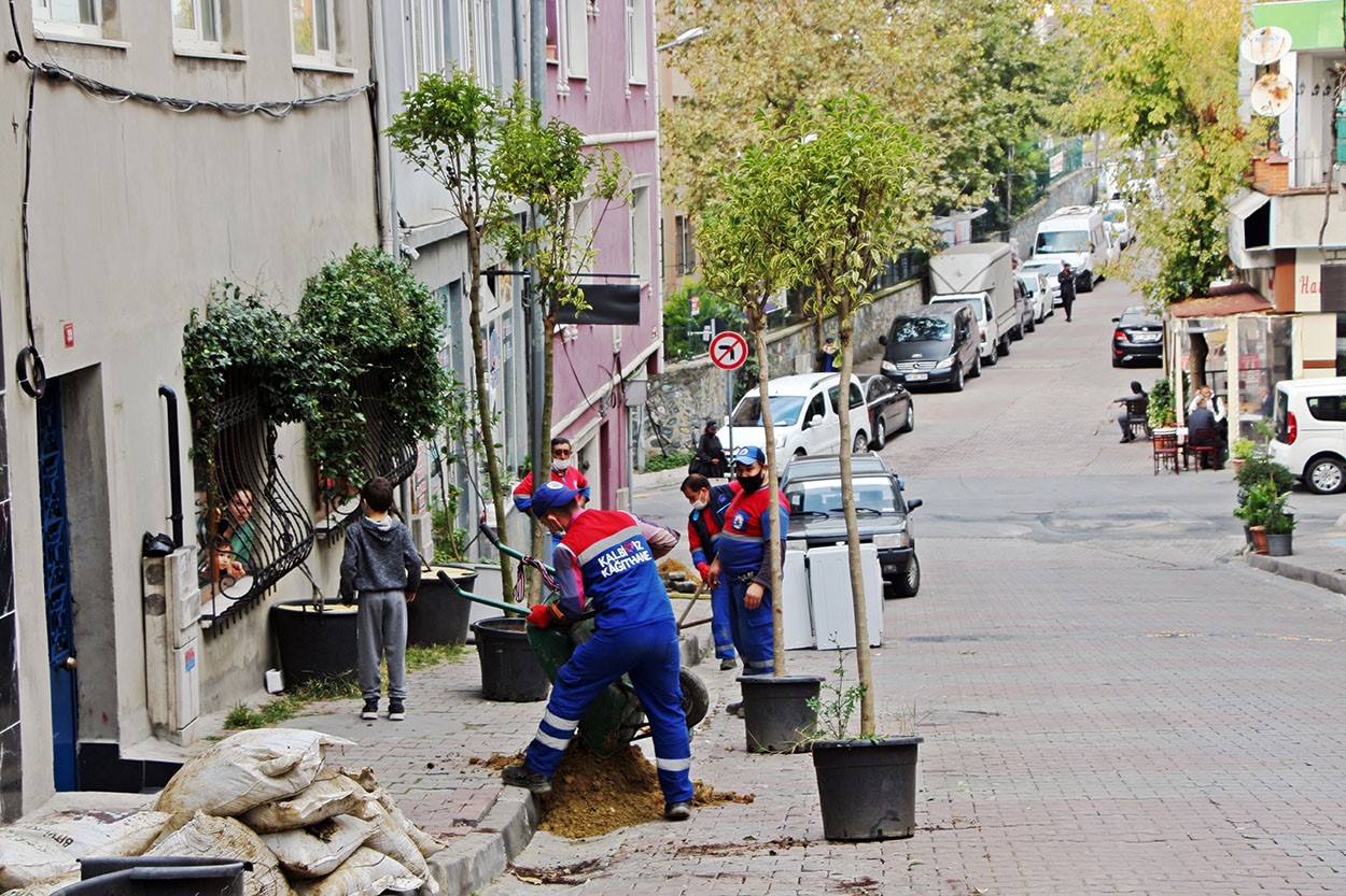 Kağıthane’de yeşil gelecek: Her bebek bir ağaçla büyüyor
