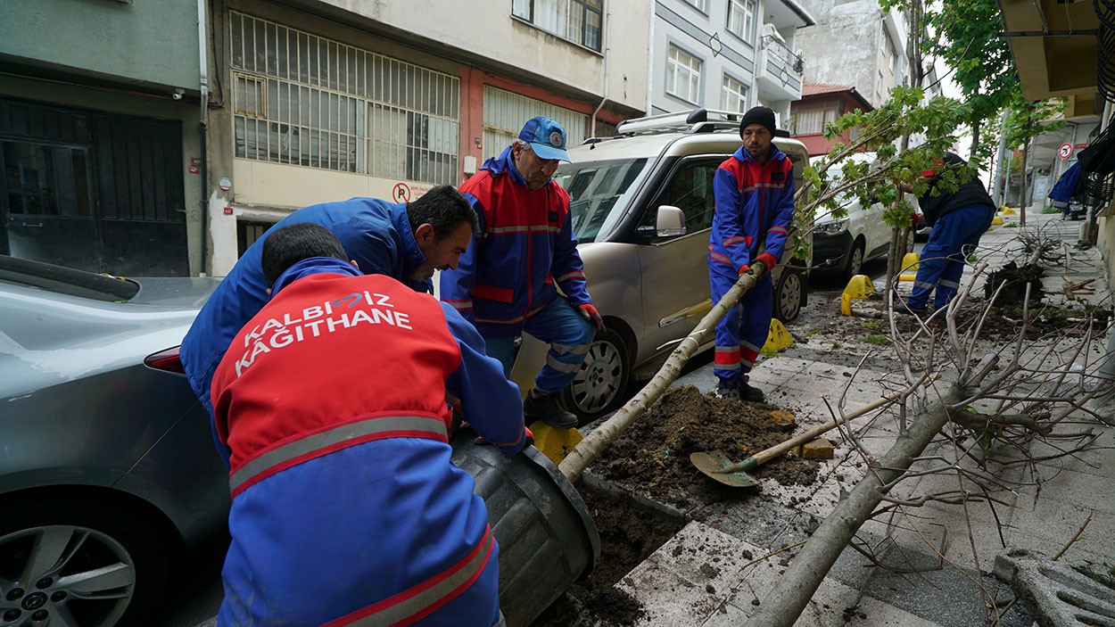 Kağıthane’de yeşil gelecek: Her bebek bir ağaçla büyüyor
