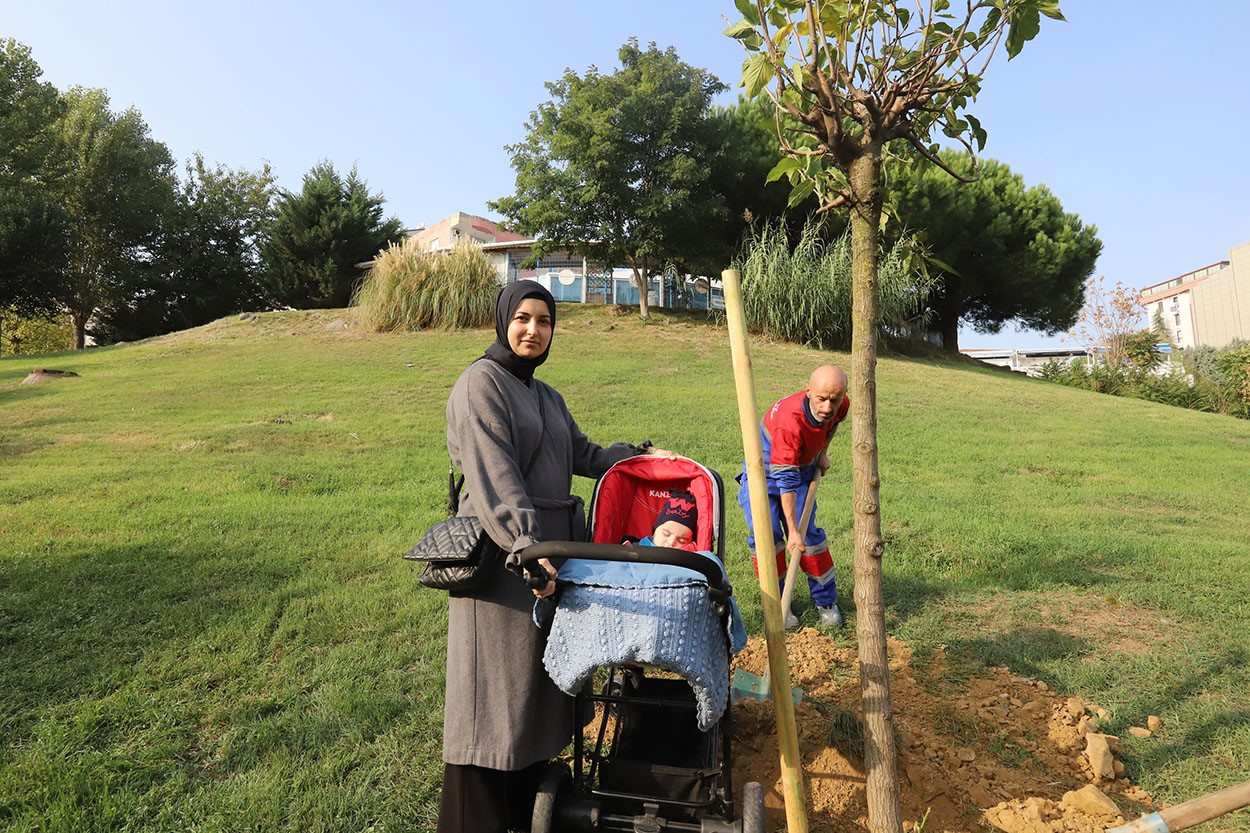 Kağıthane’de yeşil gelecek: Her bebek bir ağaçla büyüyor
