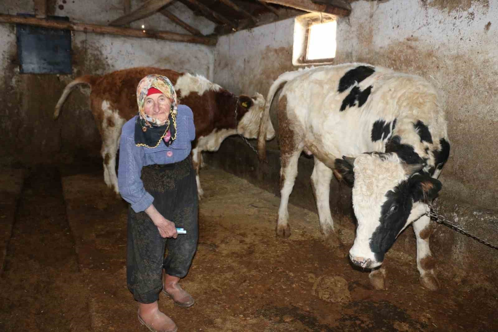 79 yaşındaki Dilber ninenin inanılmaz hayat mücadelesi görenlere maşallah dedirtiyor
