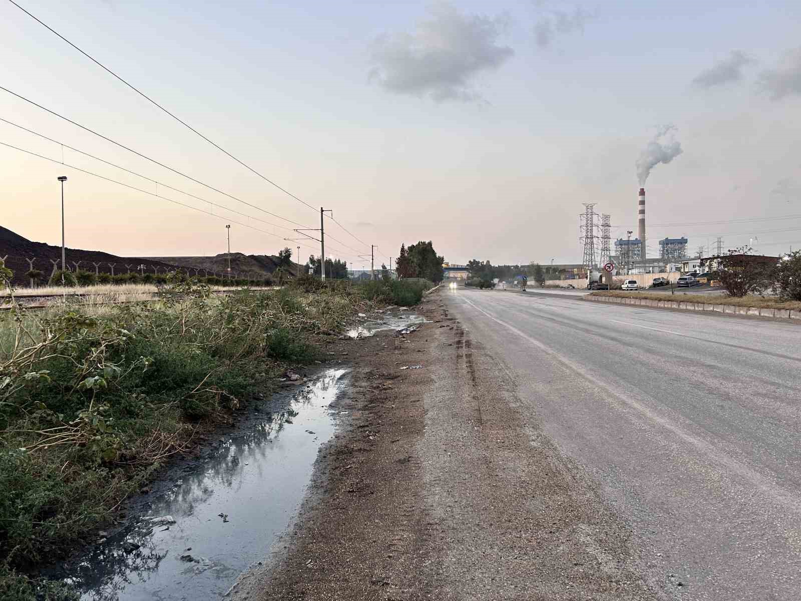 Araçlardan dökülen tahıllarla beslenen fareler, kara yolunu adeta istila etti
