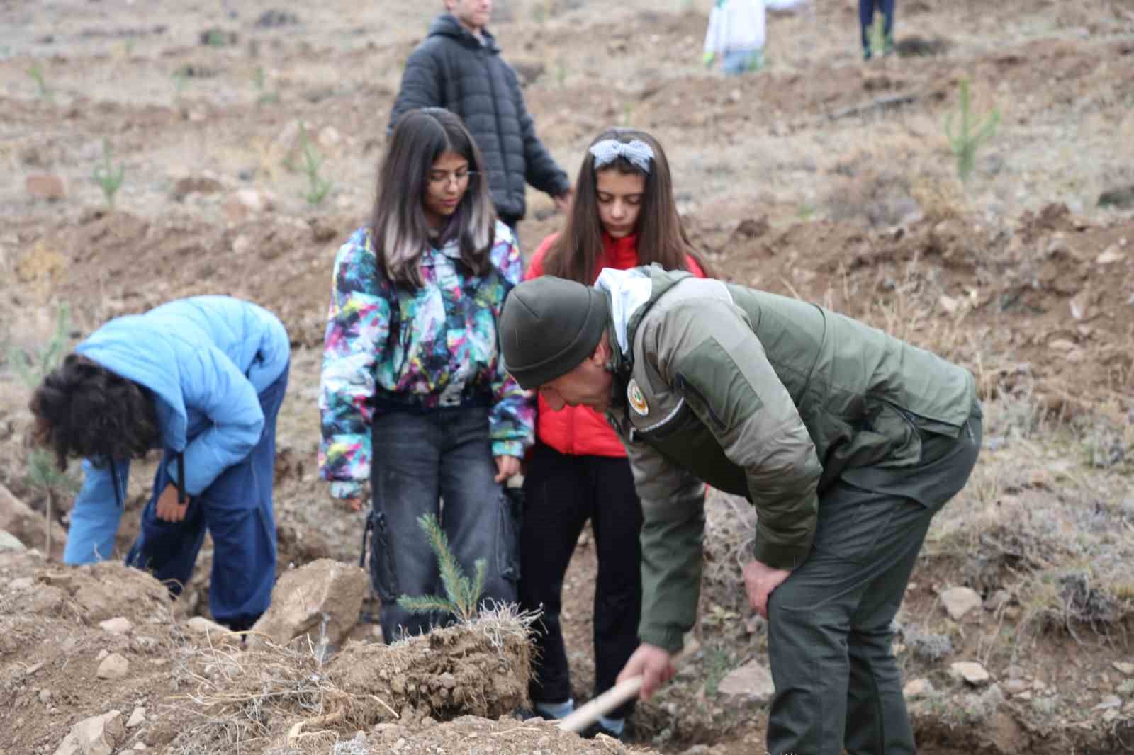 6 ilde 56 bin 500 fidan toprakla buluştu
