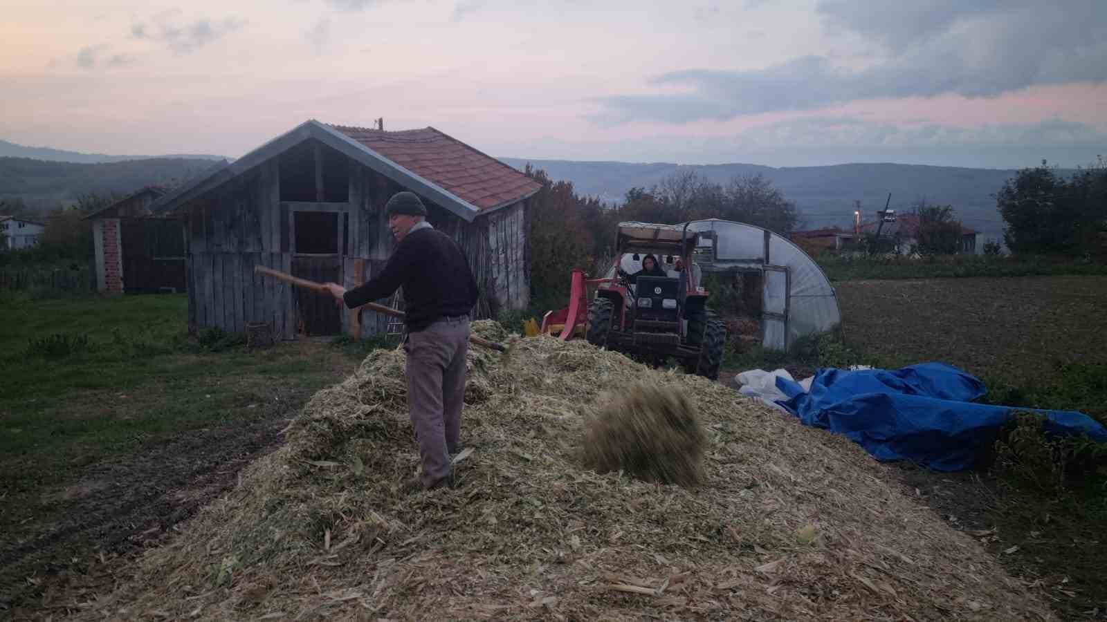 Sinop’ta silajlık mısır hasadı sona erdi
