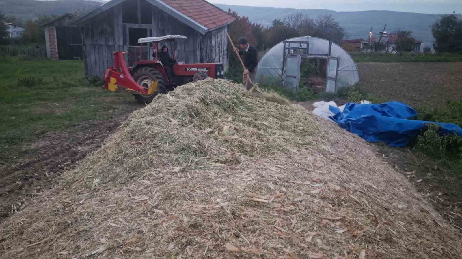 Sinop’ta silajlık mısır hasadı sona erdi
