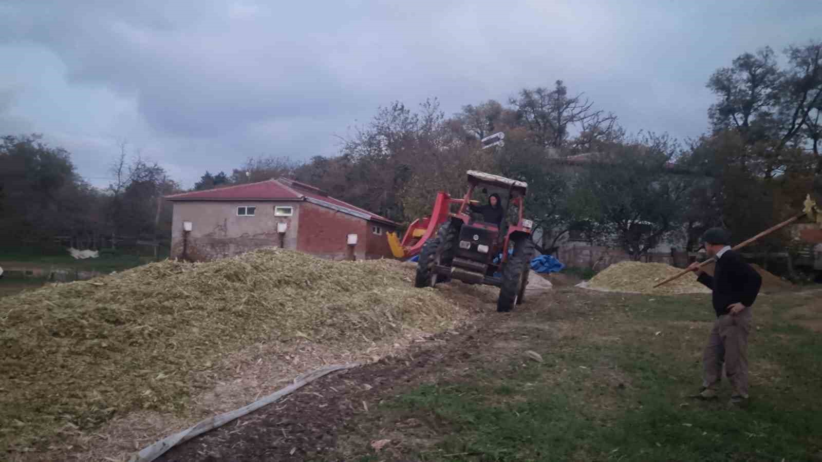 Sinop’ta silajlık mısır hasadı sona erdi
