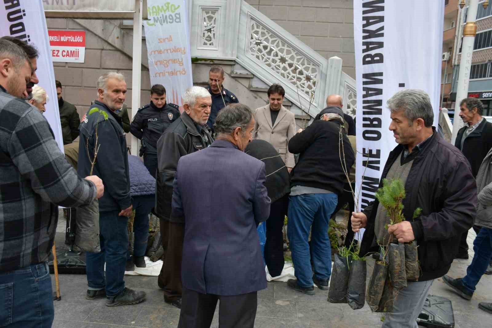 Türkeli’de vatandaşlara ücretsiz fidan dağıtıldı
