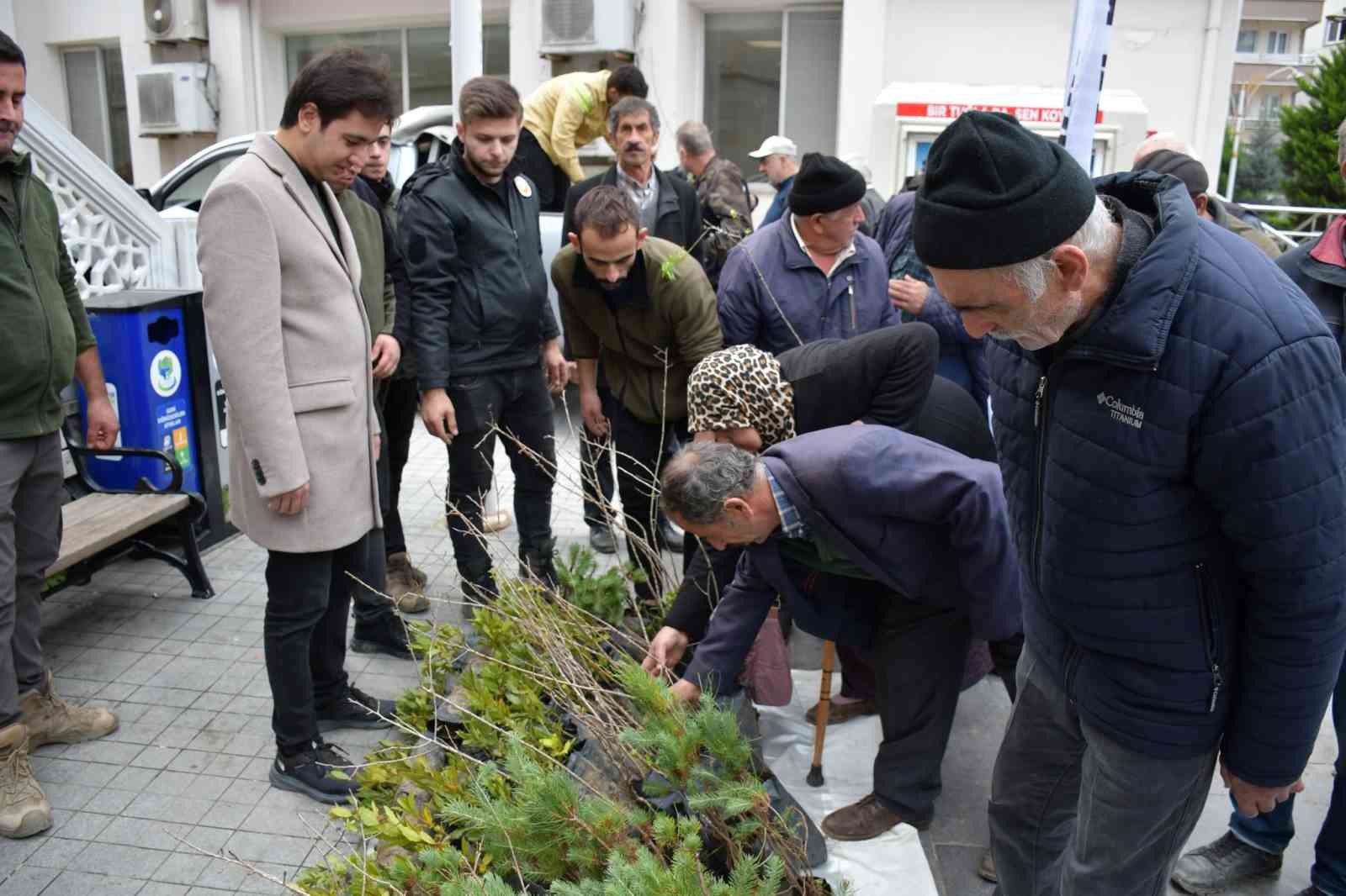 Türkeli’de vatandaşlara ücretsiz fidan dağıtıldı
