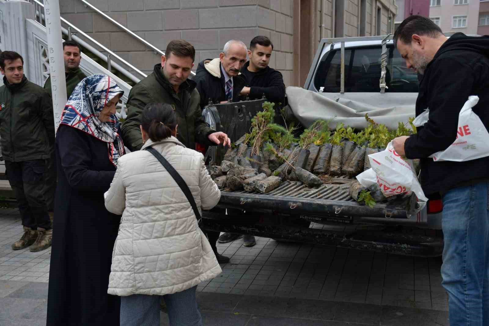 Türkeli’de vatandaşlara ücretsiz fidan dağıtıldı
