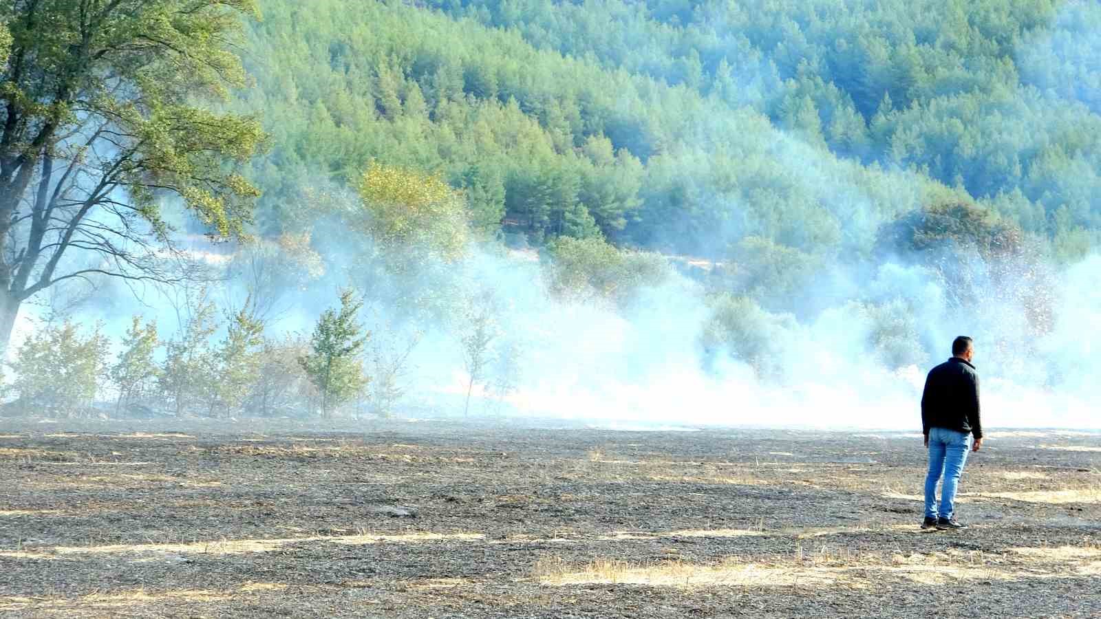 Yeniköy’de anız yangını hızlı müdahale ile söndürüldü
