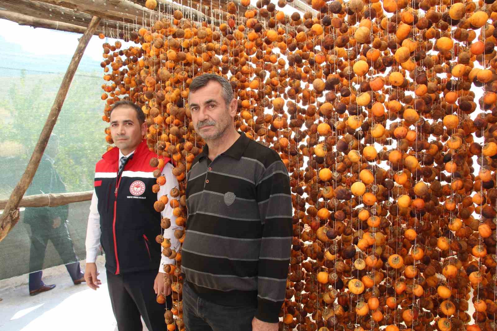 Denemek için bahçesine cennet hurması ekti, geçimini bununla sağlamaya başladı
