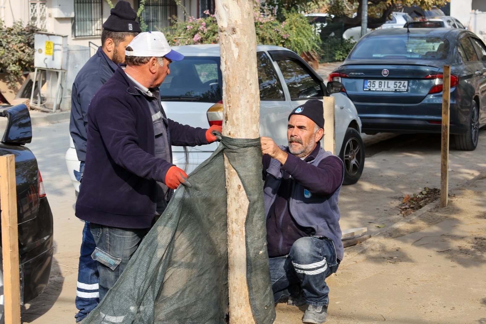 Muradiye parkları yeşillendiriliyor
