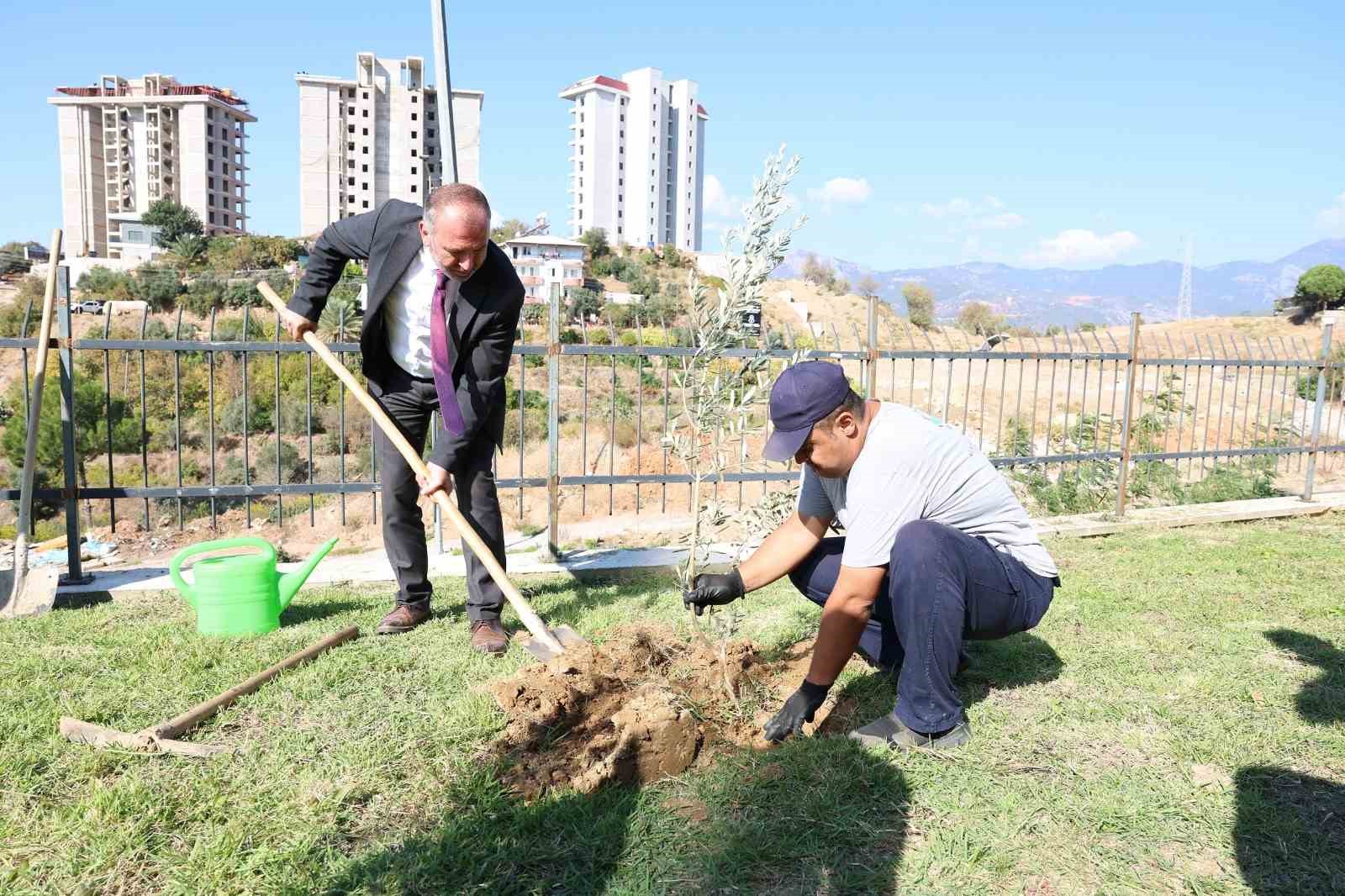 ALKÜ’de zeytin ağacı dikimi yapıldı
