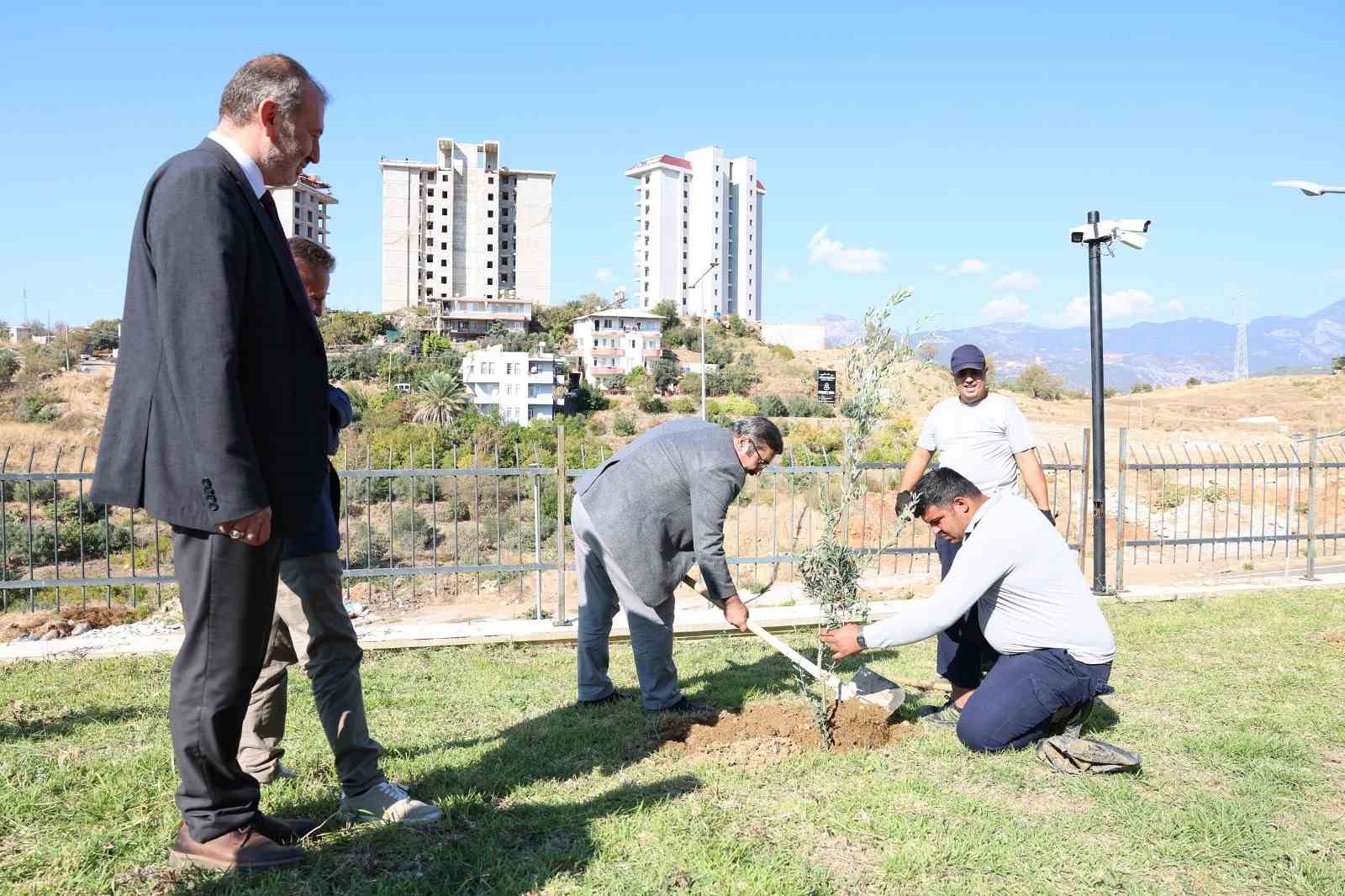 ALKÜ’de zeytin ağacı dikimi yapıldı
