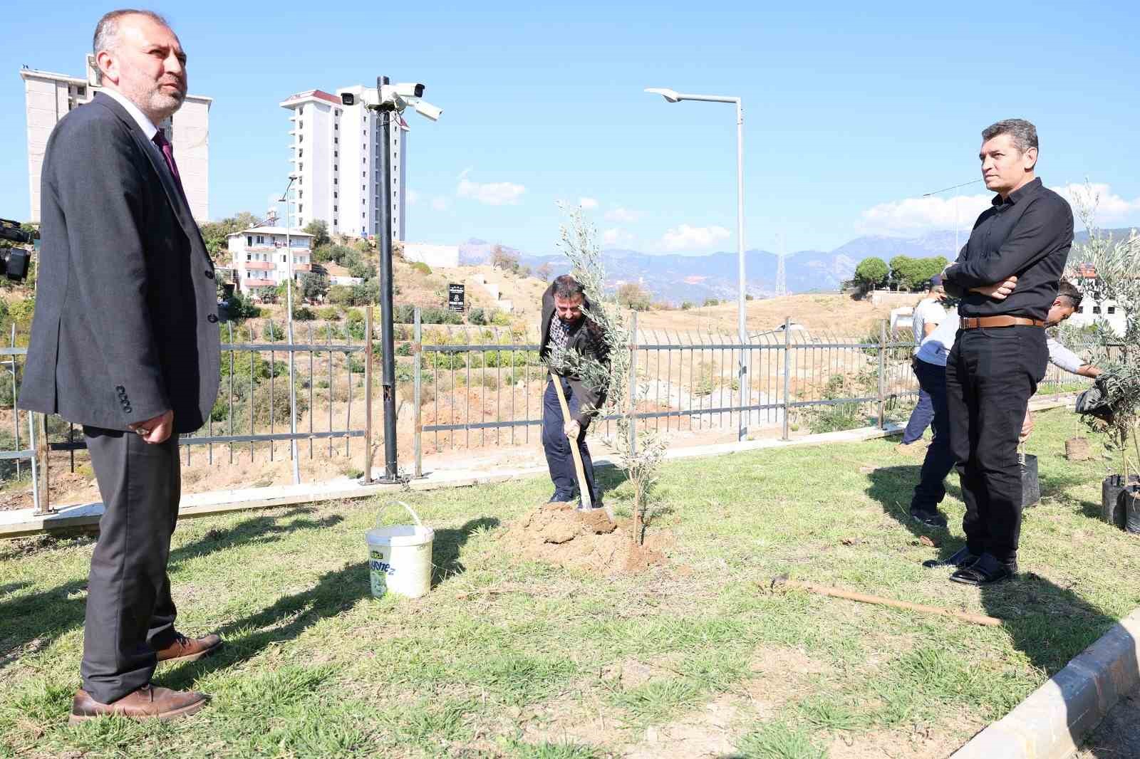 ALKÜ’de zeytin ağacı dikimi yapıldı
