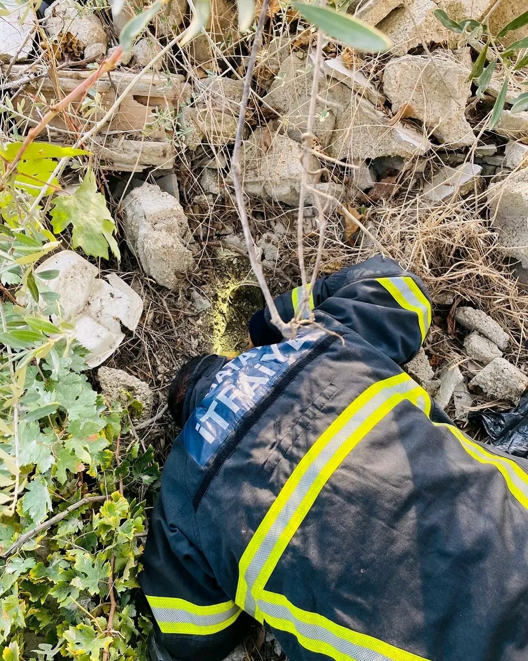 Atık su borusunda mahsur kalan kediyi itfaiye kurtardı
