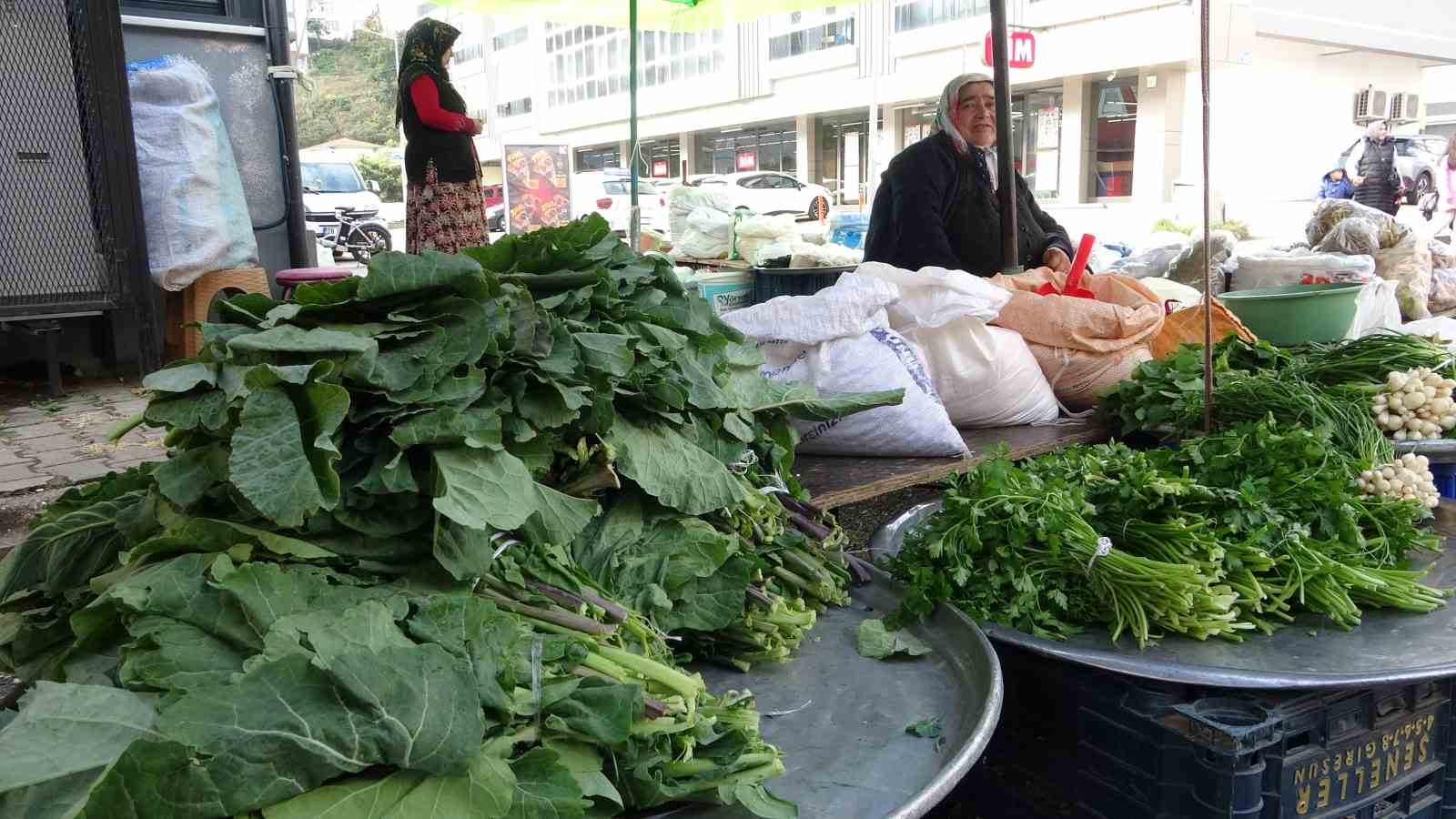 Karadeniz’deki karalahananın faydaları bilimsel olarak kanıtlandı
