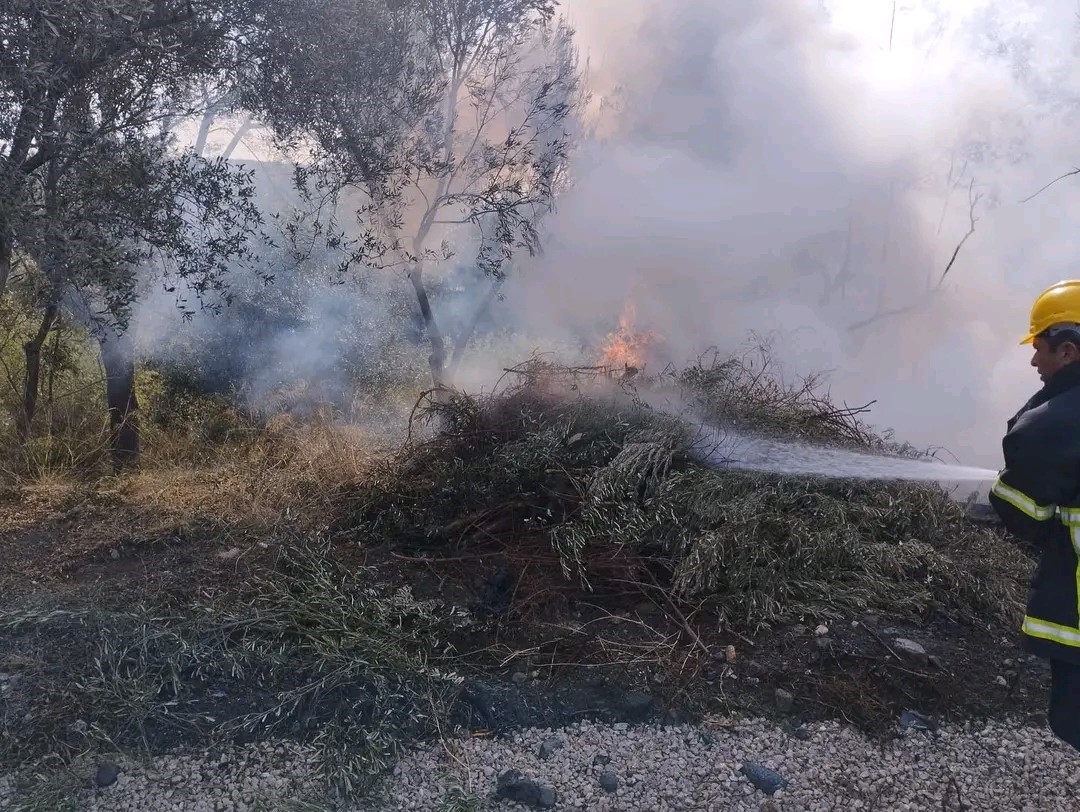 Erzin’de zeytin bahçesinde çıkan yangın söndürüldü
