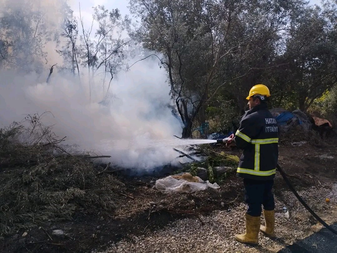 Erzin’de zeytin bahçesinde çıkan yangın söndürüldü
