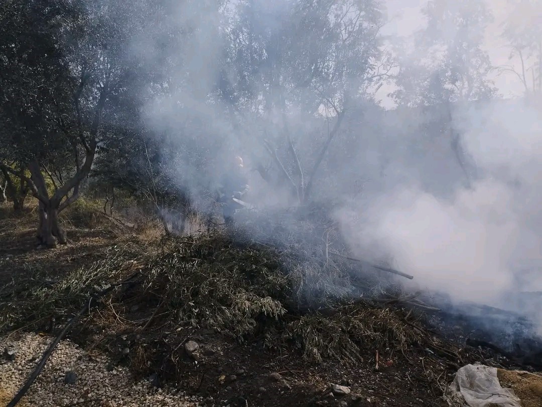 Erzin’de zeytin bahçesinde çıkan yangın söndürüldü
