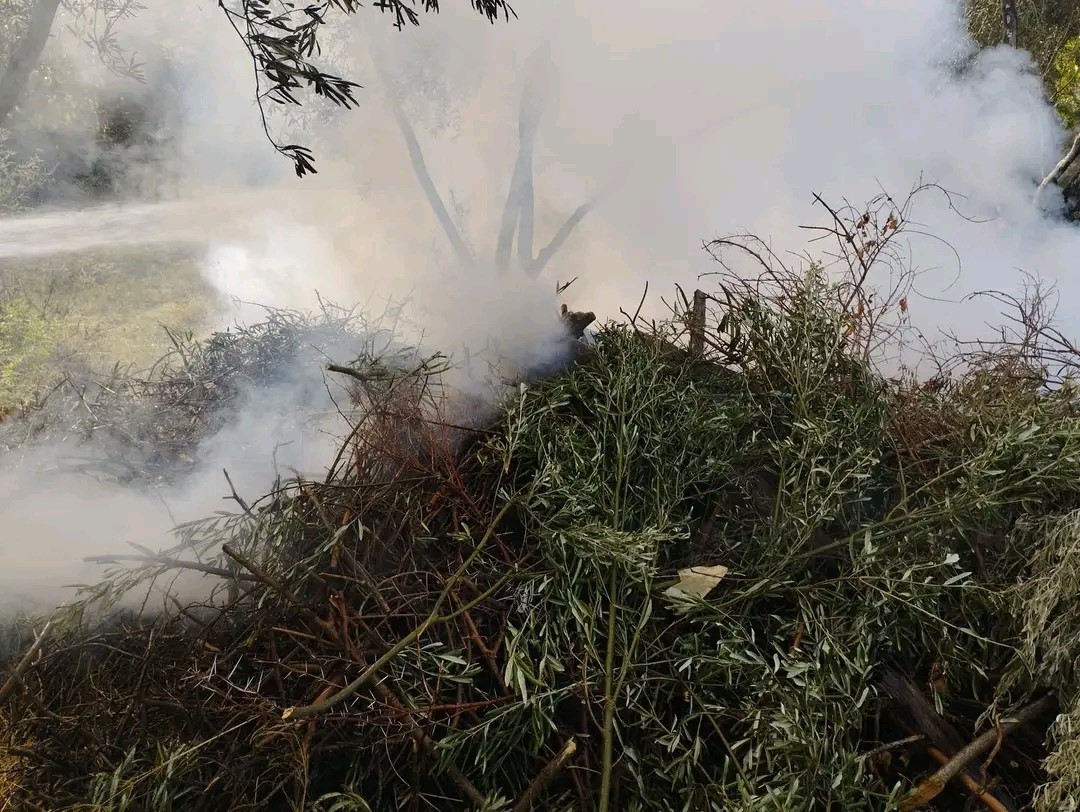 Erzin’de zeytin bahçesinde çıkan yangın söndürüldü
