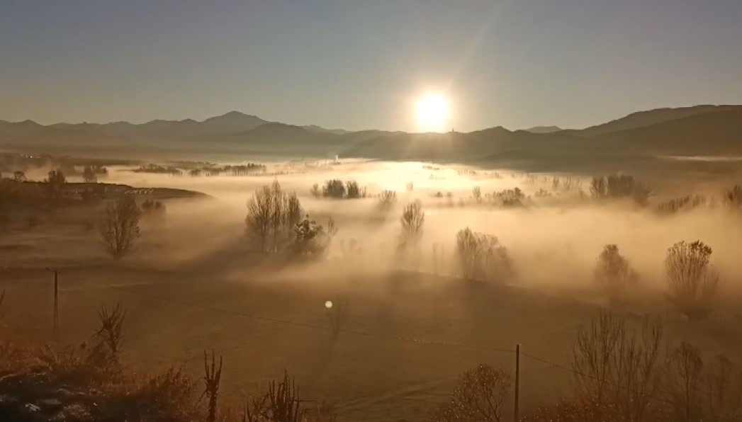 Tunceli’de ’sis’ şöleni
