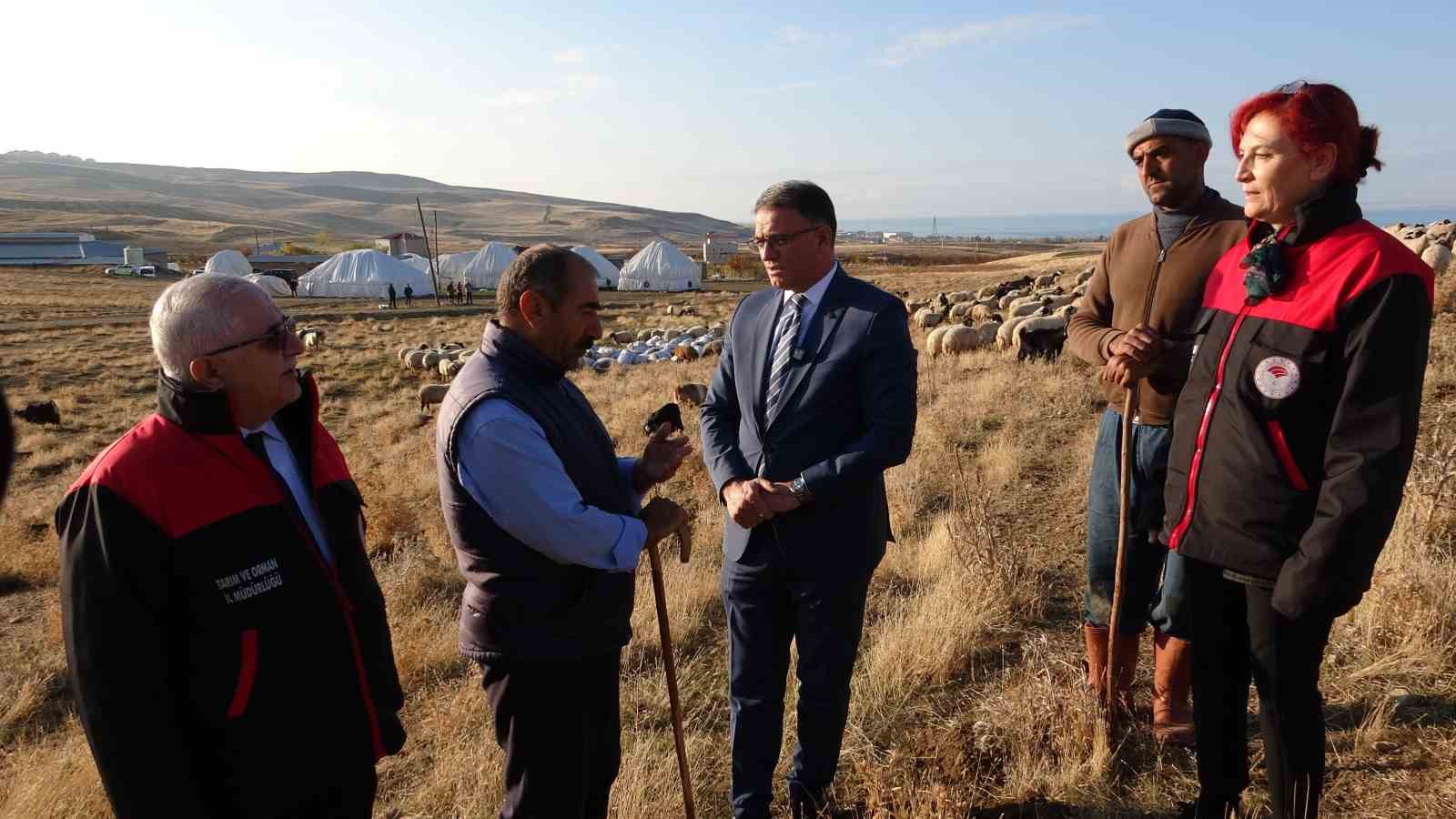 Van’ın küçükbaş hayvancılığına 200 bin koyunla rekor destek
