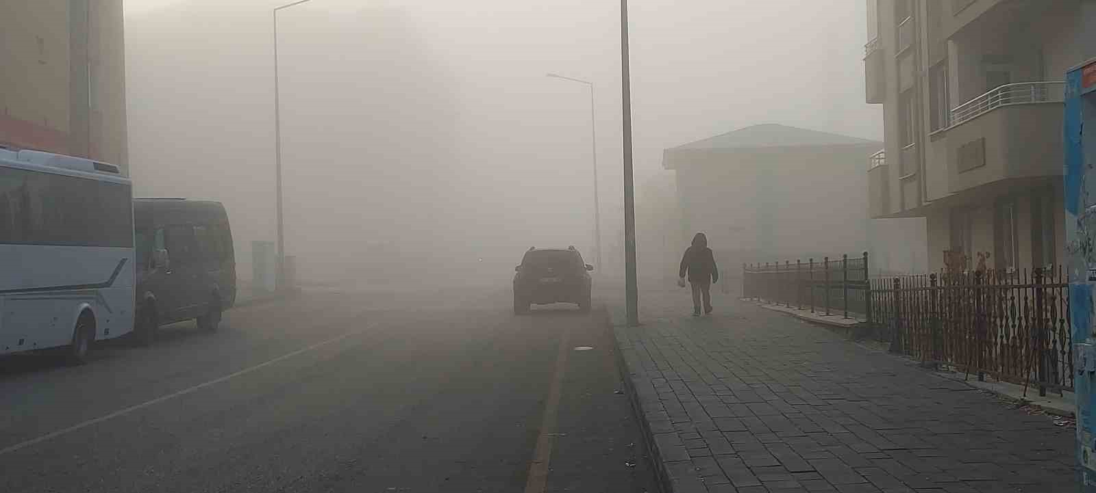 Erzurum buz kesti, sis şehri örttü
