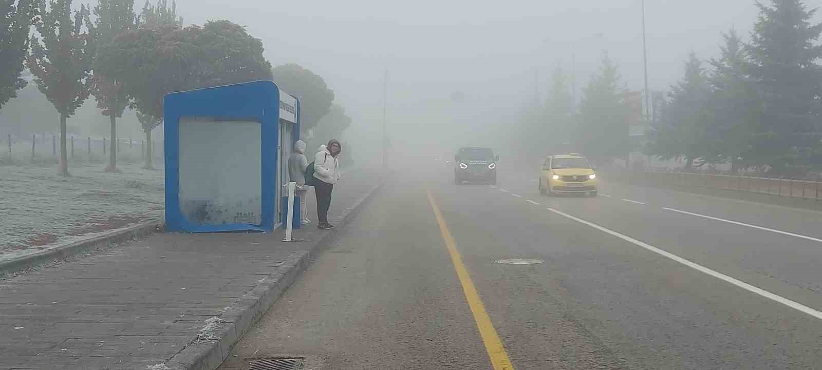 Erzurum buz kesti, sis şehri örttü
