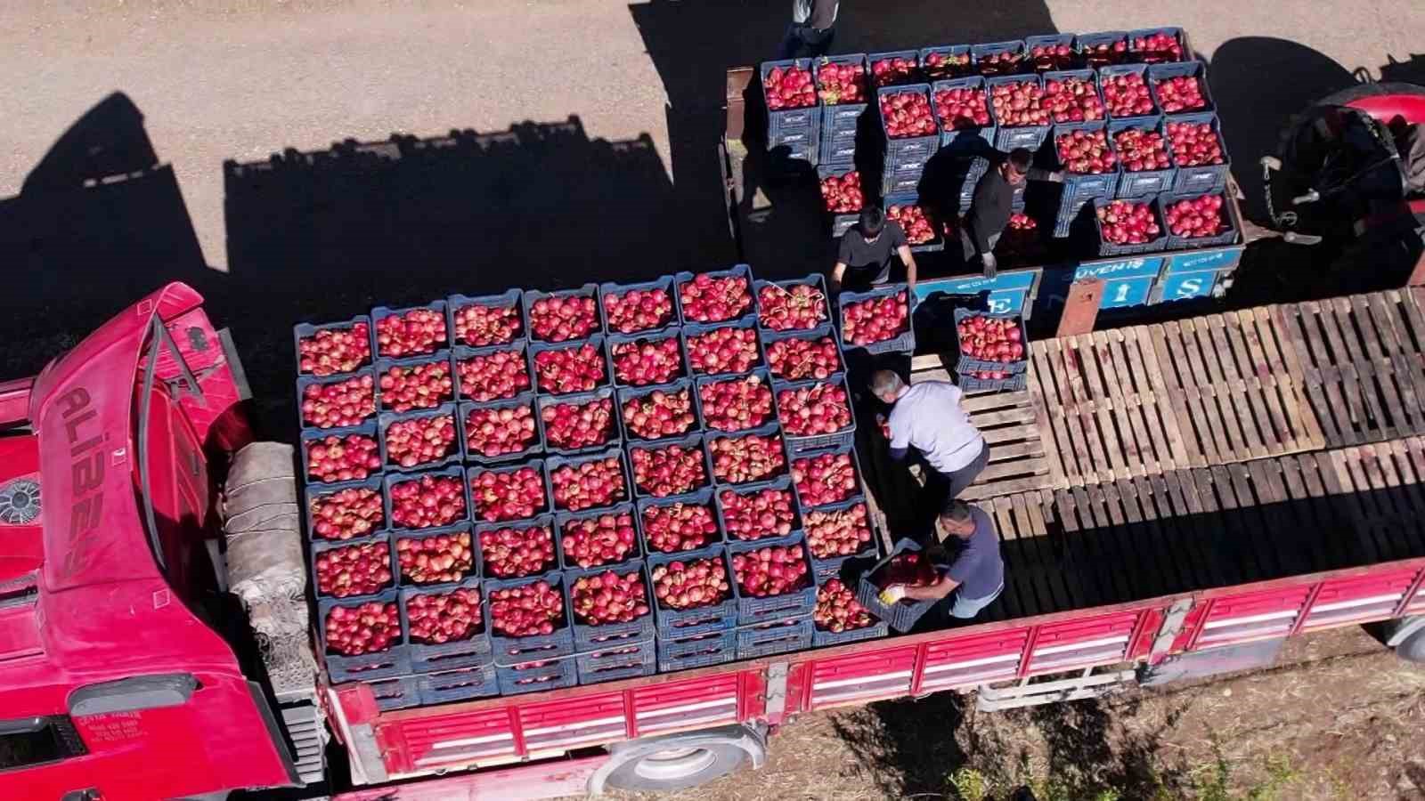 Adıyaman’ın organik narları Avrupa yolcusu
