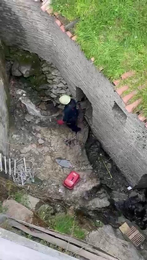 Derede mahsur kalan kediyi itfaiye ekipleri kurtardı
