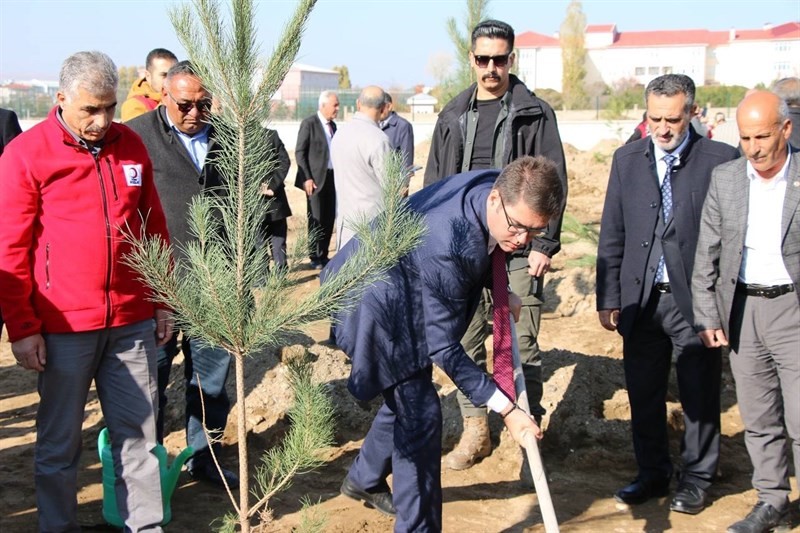 Erciş’te fidan dikme etkinliği
