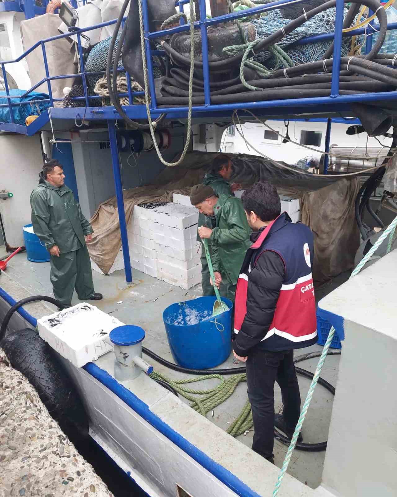 Karadeniz’de hamsi bereketi yaşanmaya başlandı
