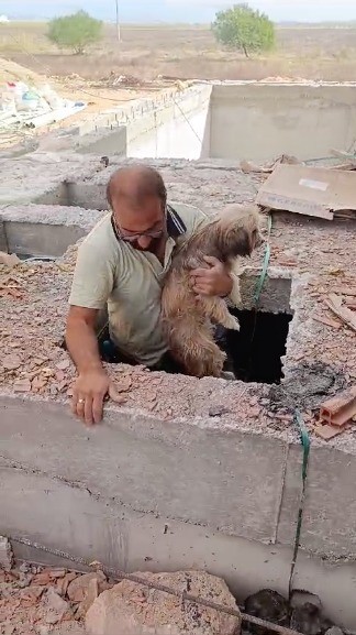 Havuz makine dairesi inşaatına düşen köpeği inşaat çalışanları kurtardı
