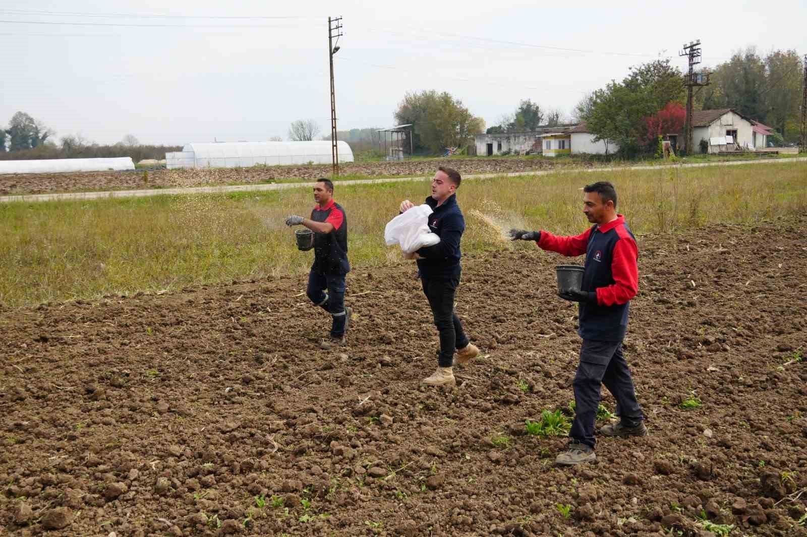 16 dönüme ekim yapıldı
