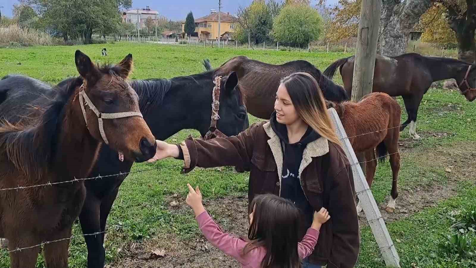 At sevgisiyle başlayan hobi hipodromda devam ediyor: Kurduğu tesiste yarış atı üretiyor
