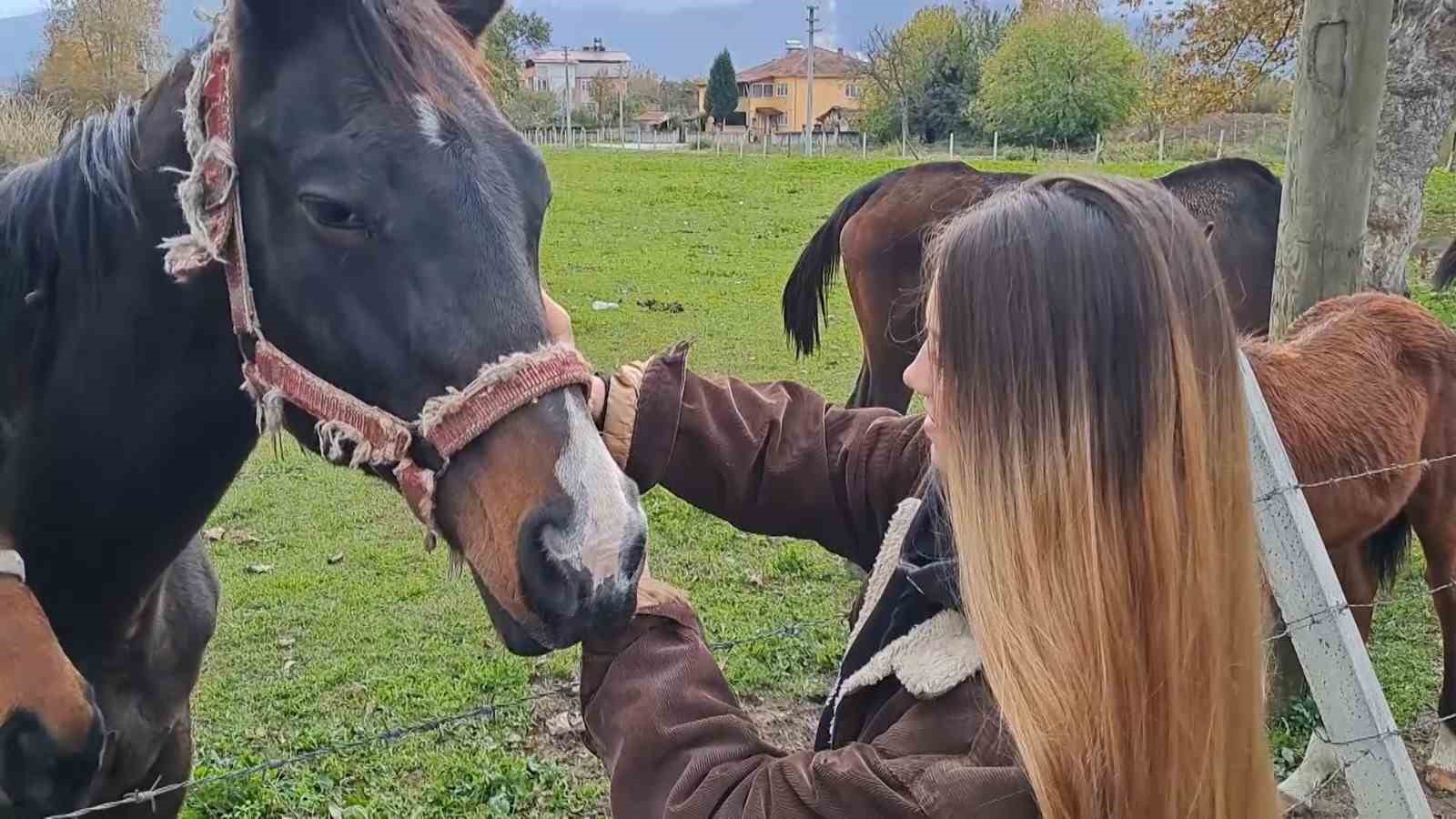 At sevgisiyle başlayan hobi hipodromda devam ediyor: Kurduğu tesiste yarış atı üretiyor
