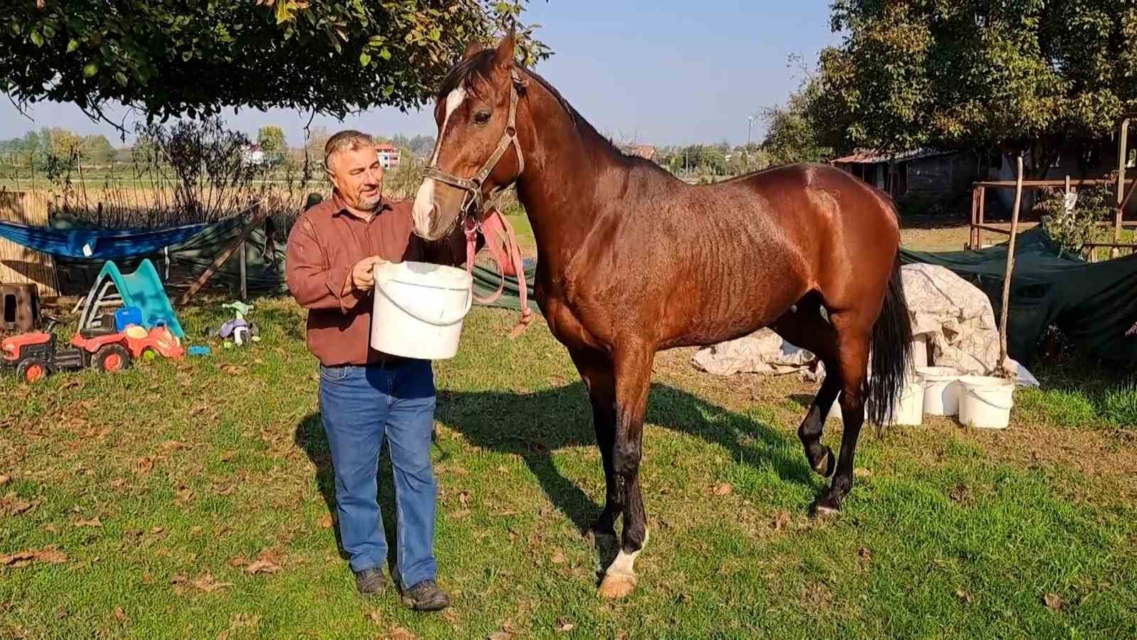 At sevgisiyle başlayan hobi hipodromda devam ediyor: Kurduğu tesiste yarış atı üretiyor
