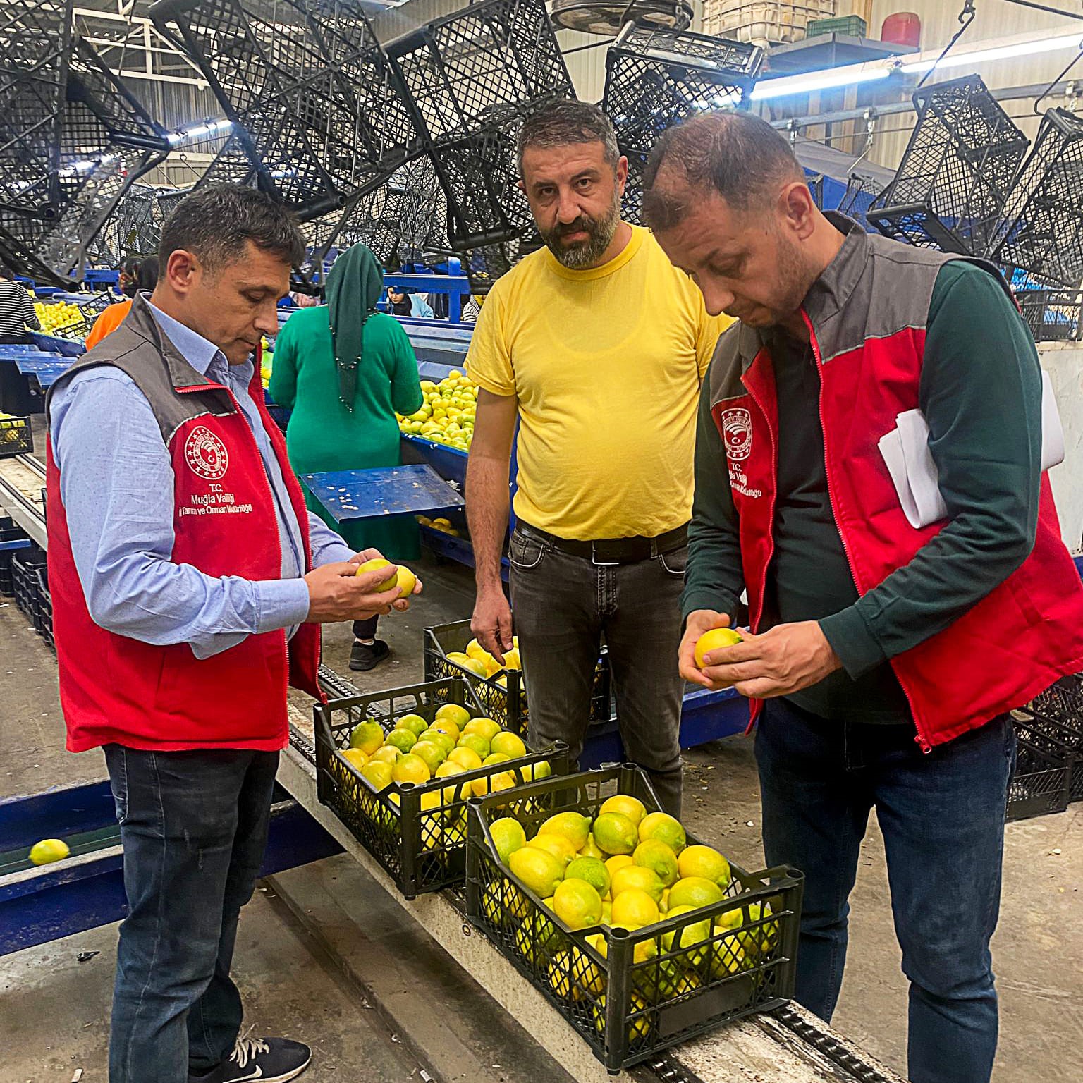 Ortaca’da üretilen ürünler tüm dünyaya ihraç oluyor
