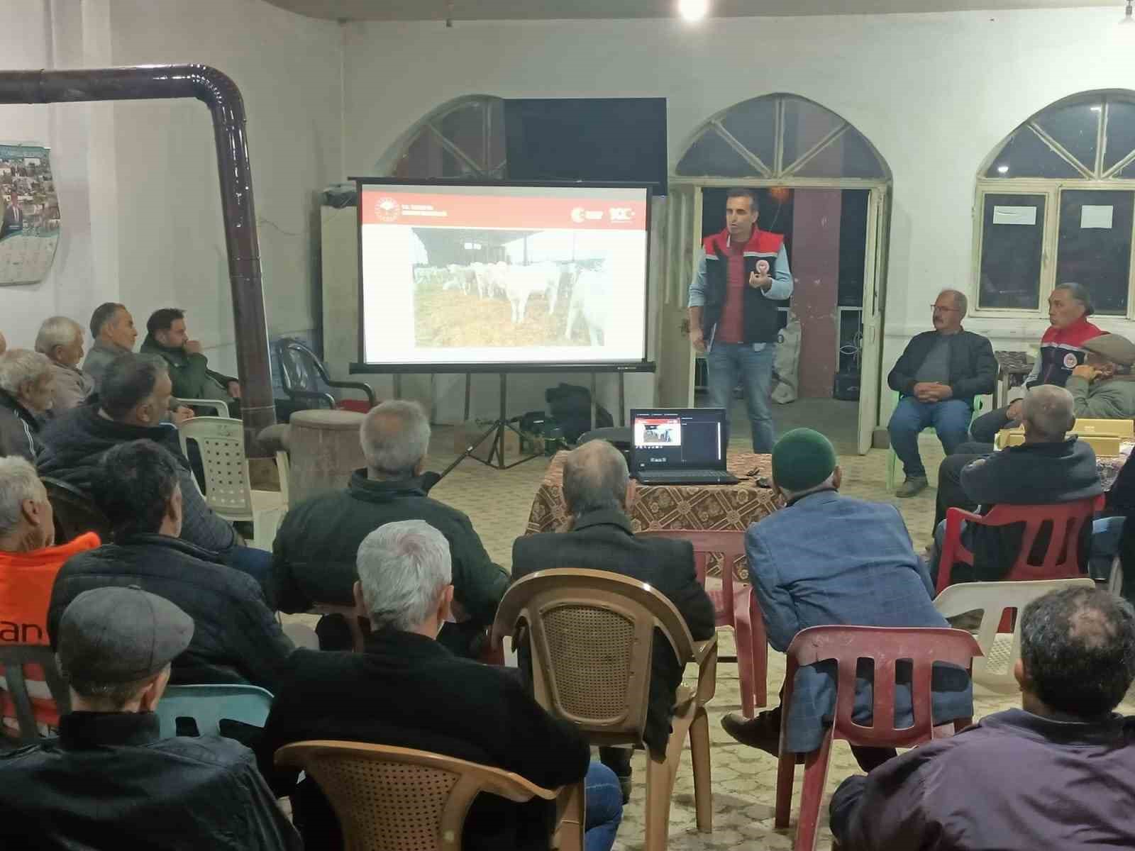 Aydın’da hayvan hastalıkları ile mücadele devam ediyor
