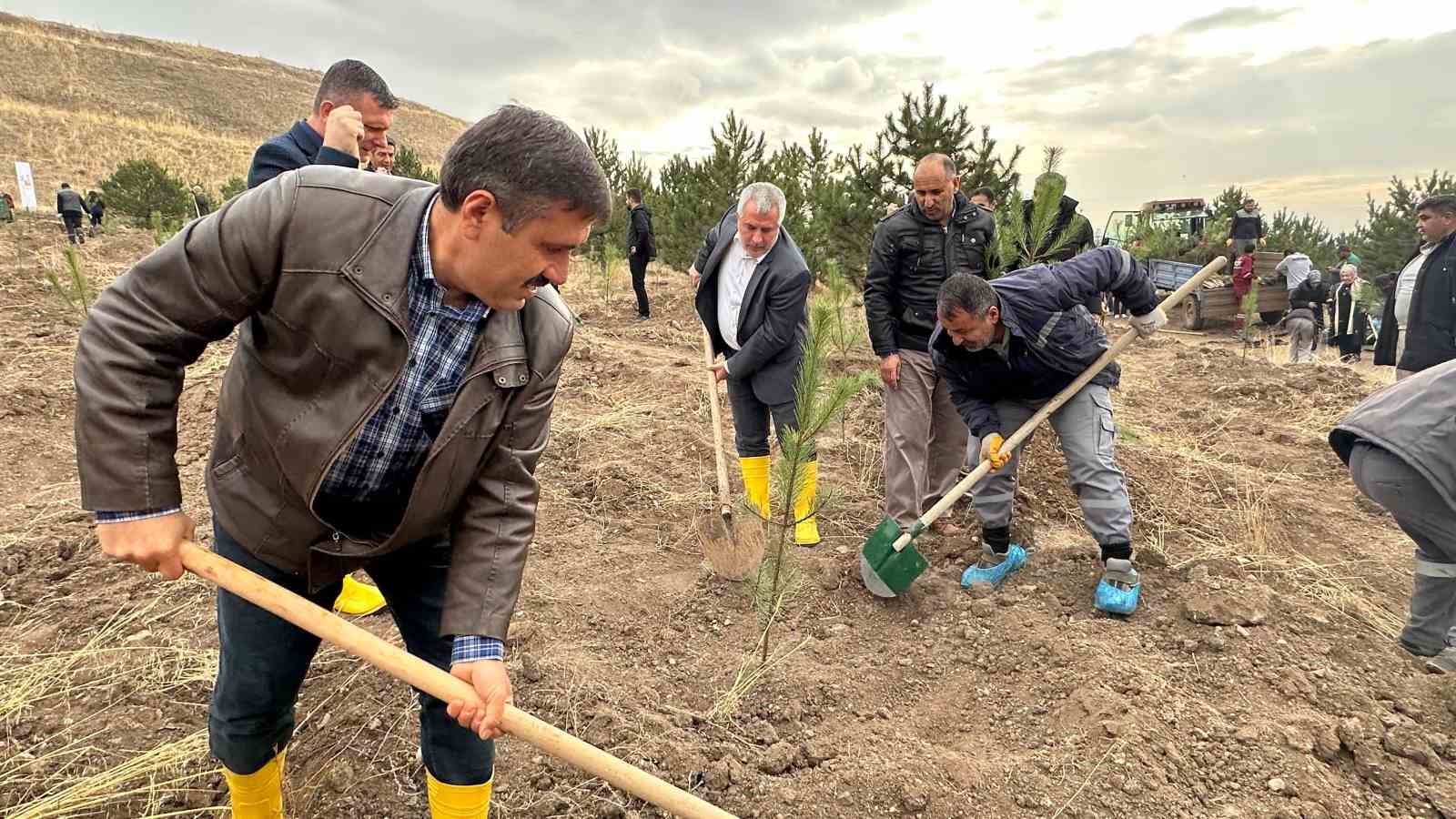 ÖSYM’nin 50’nci yılında, bin 500 fidan toprakla buluştu
