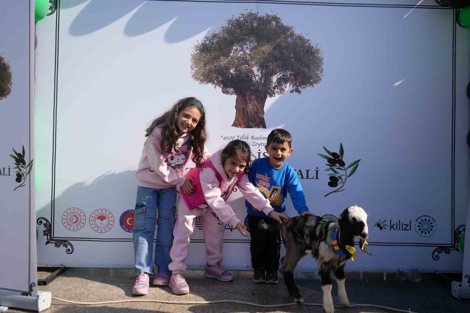 Bakan Yumaklı, Kilis’te zeytin festivaline katıldı
